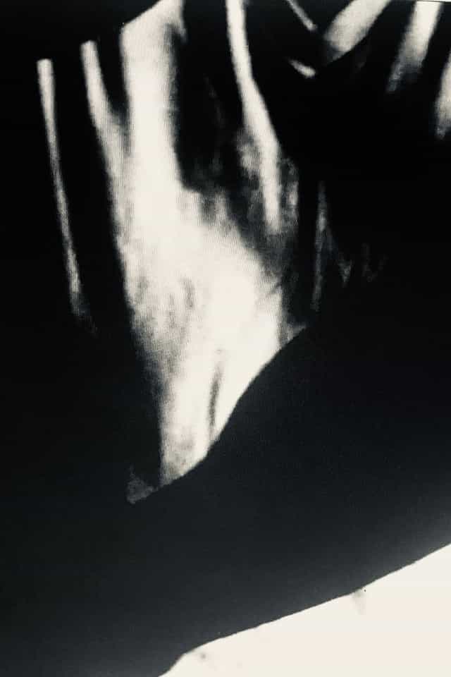 732819