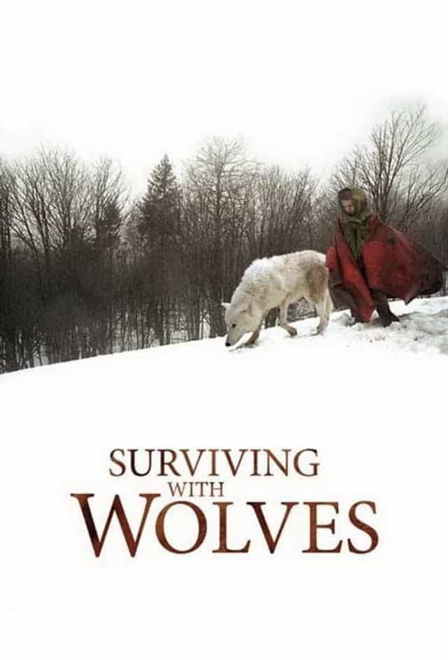 8268