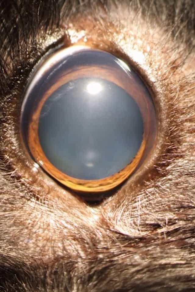 826639