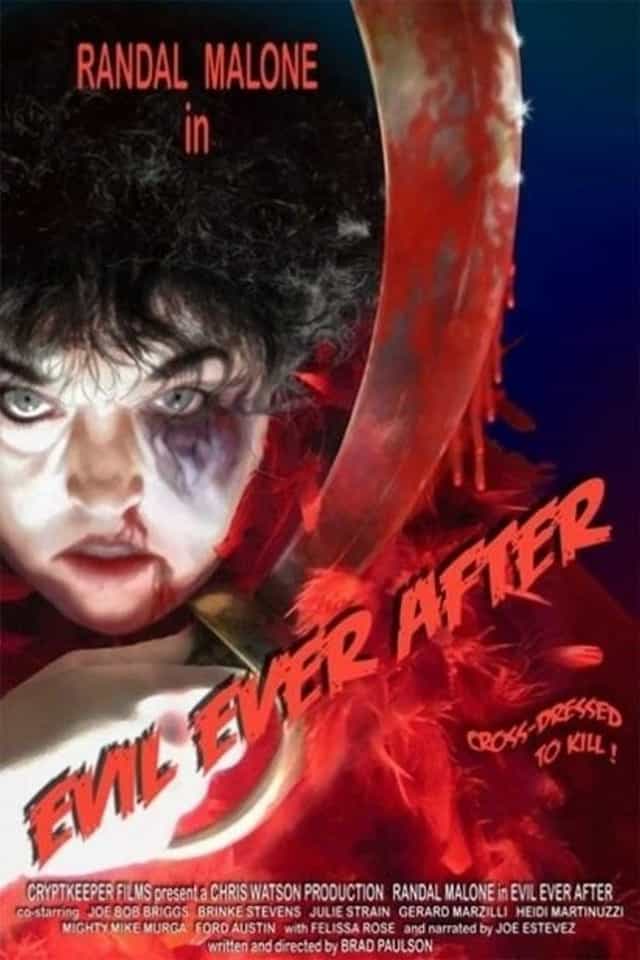 28163