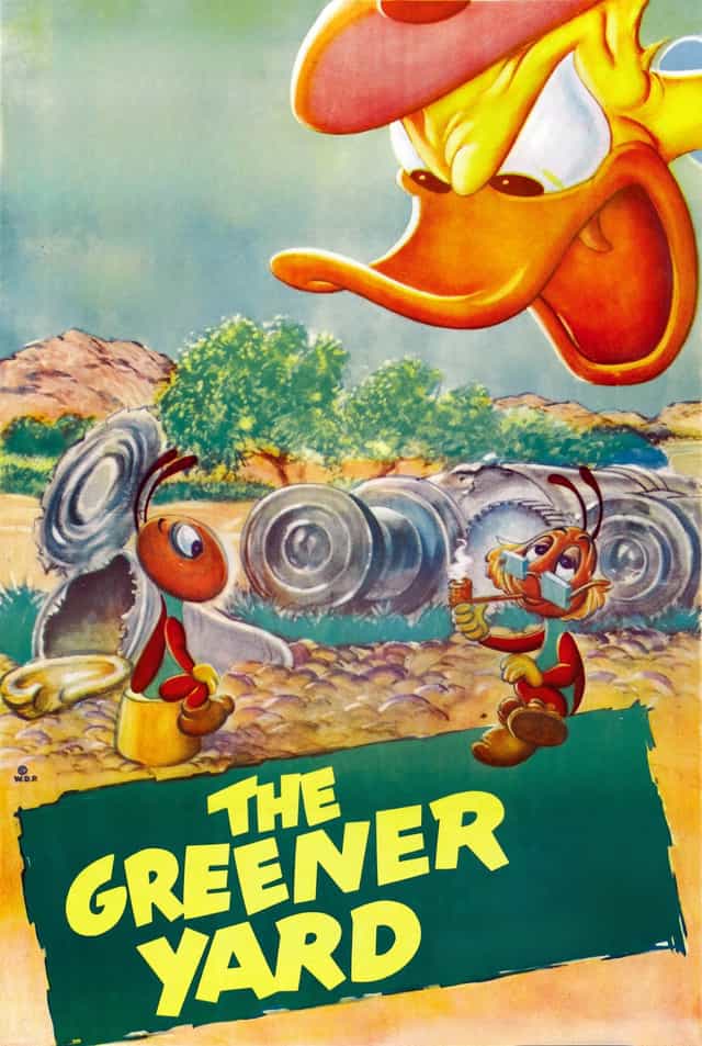 67590