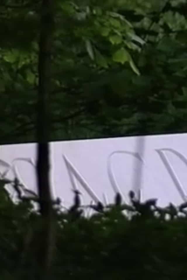 1213555