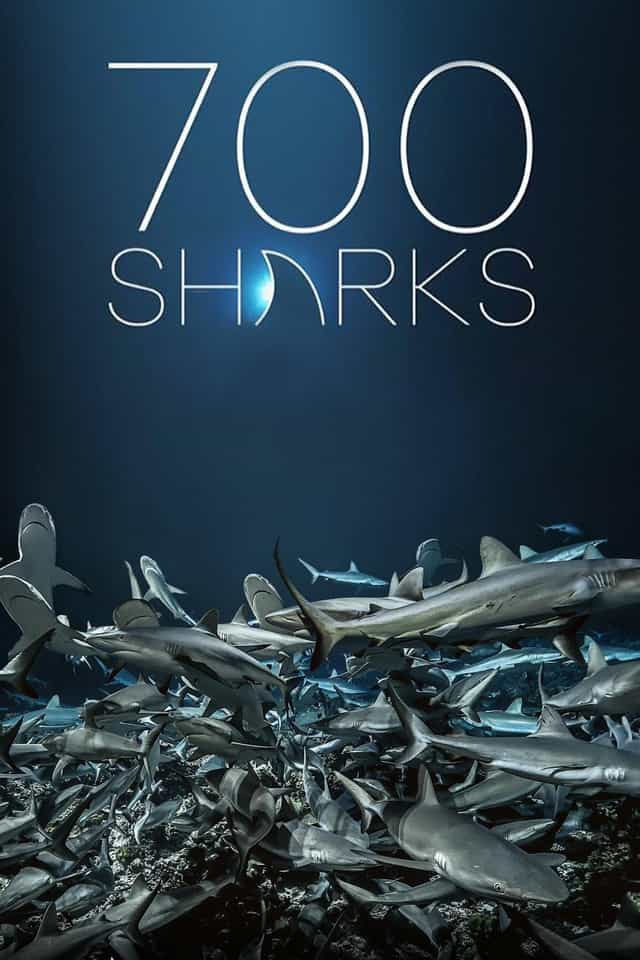 530838