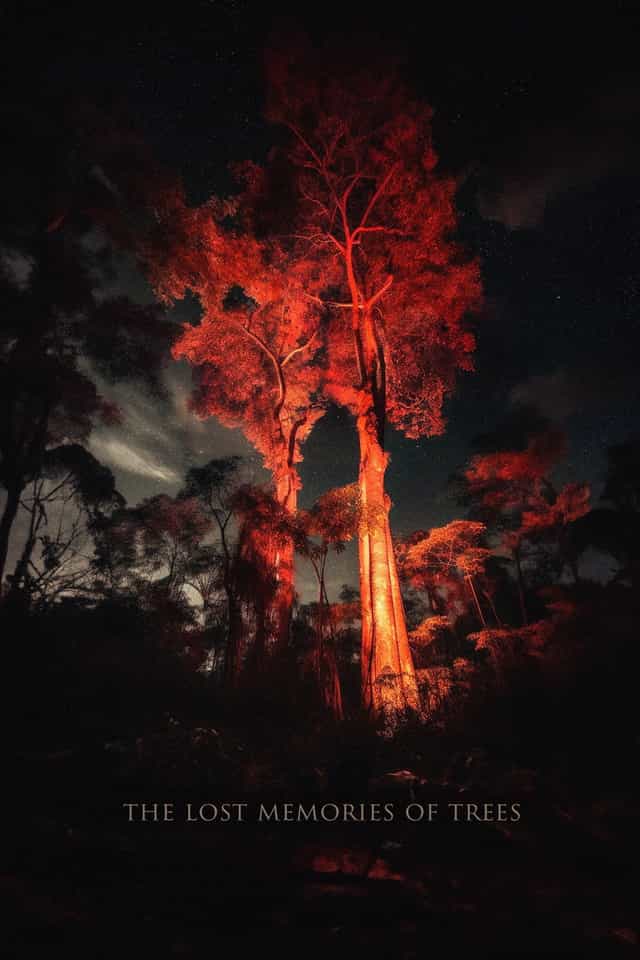 1156736