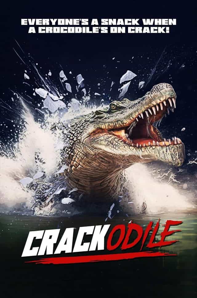 1182590