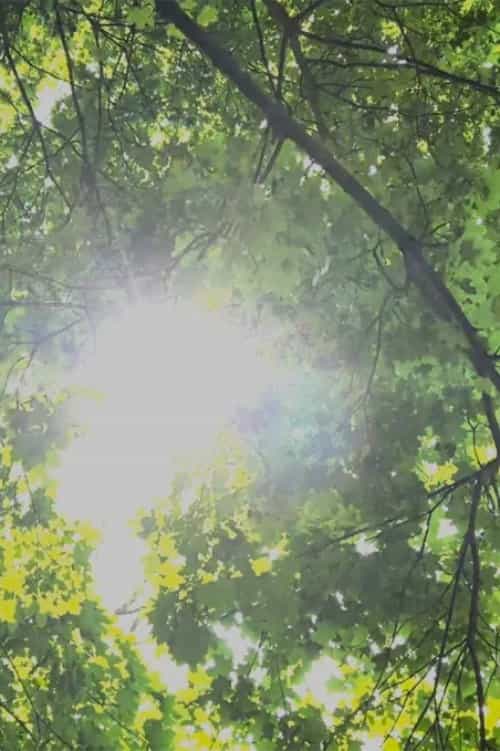 1388741