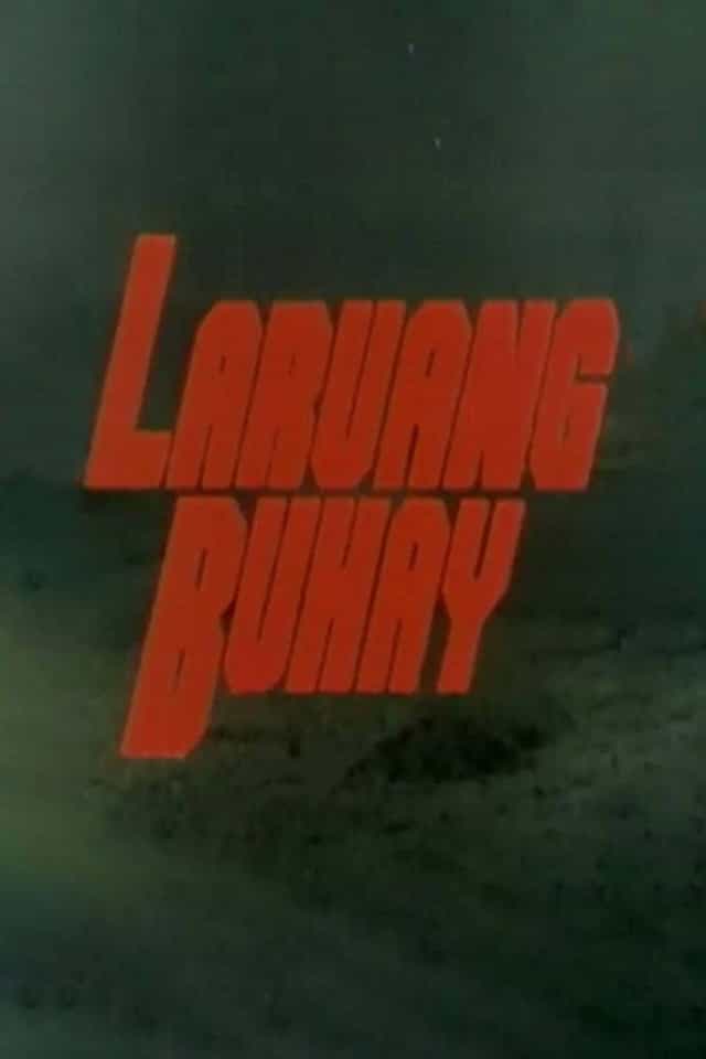 504038