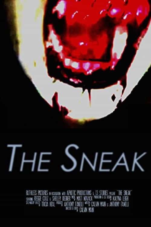 417677
