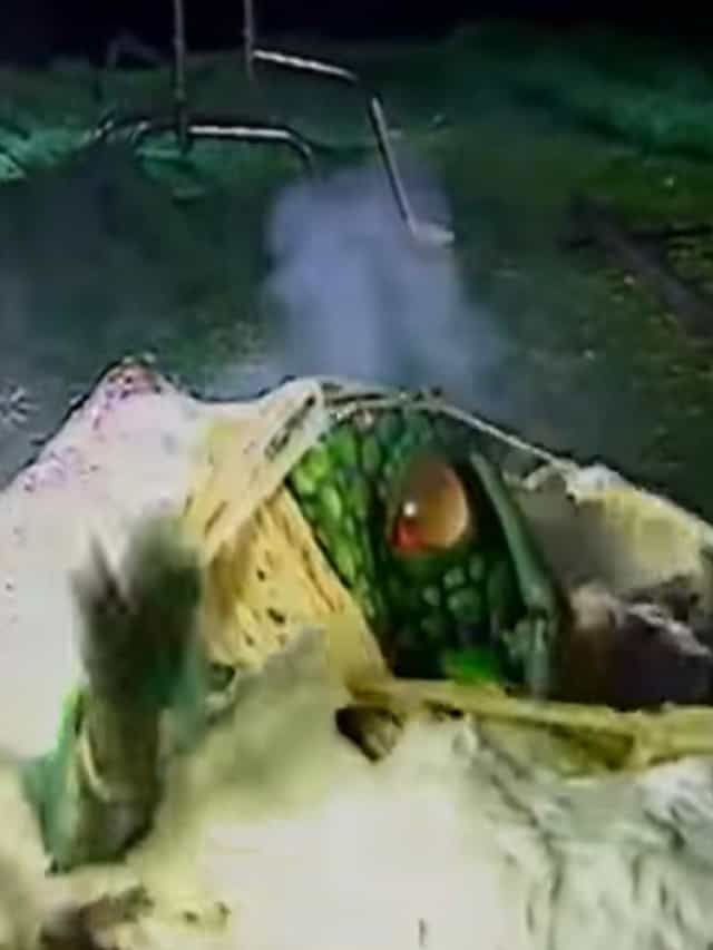 1621390
