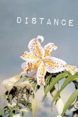 25051