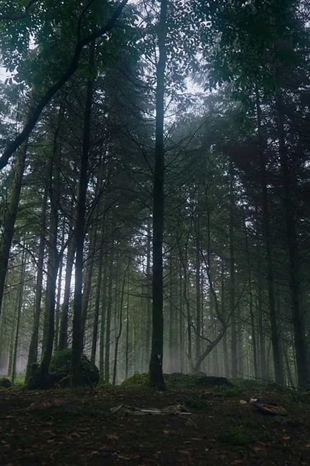 1189710
