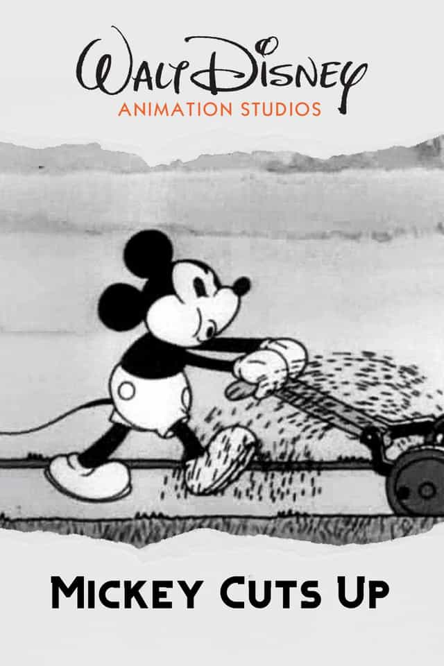 162577