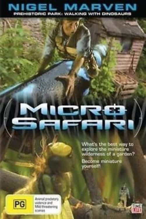 1144984