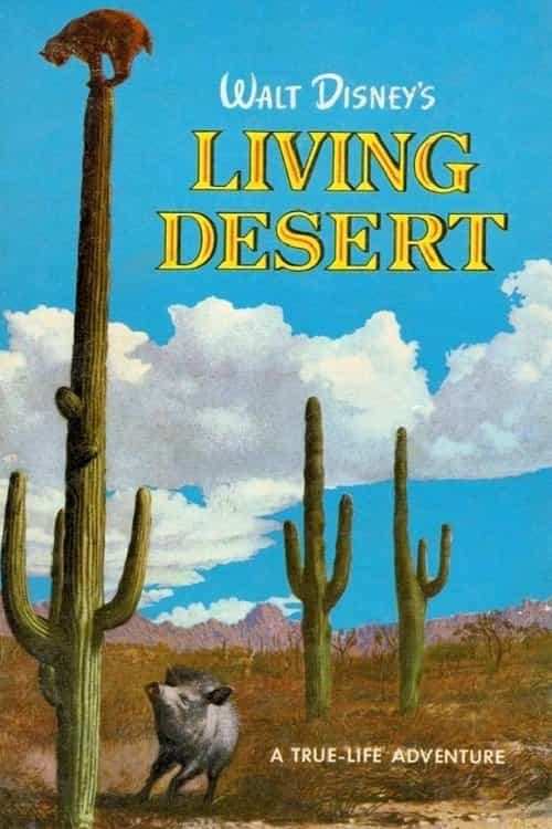 11383