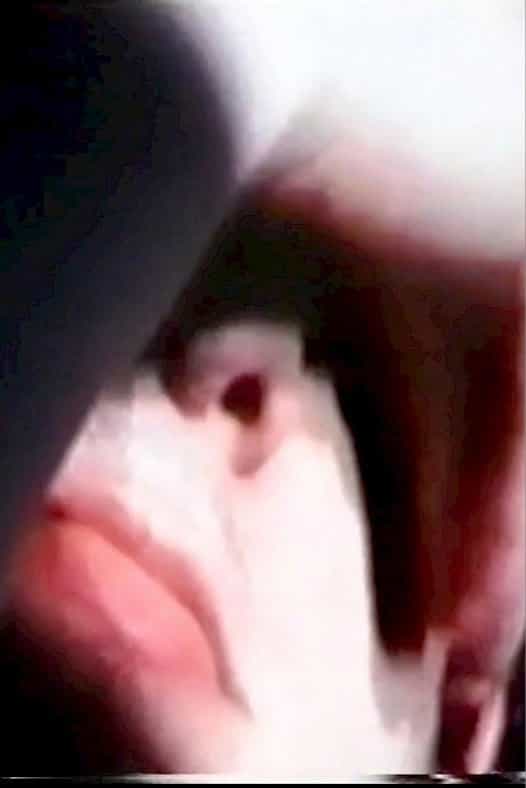 1565623