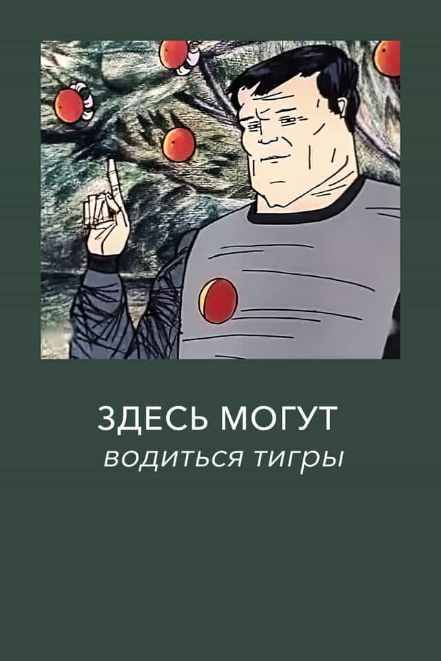 256221