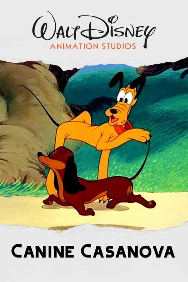 68491