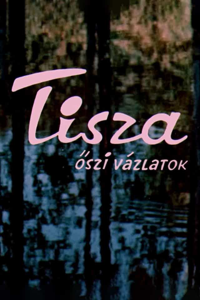 271002
