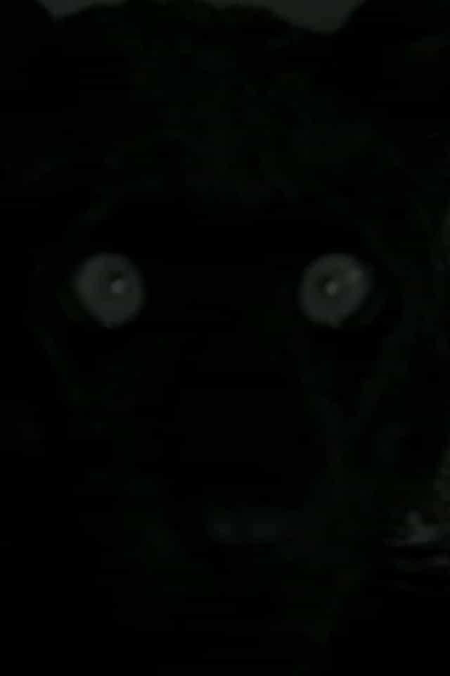 1090804