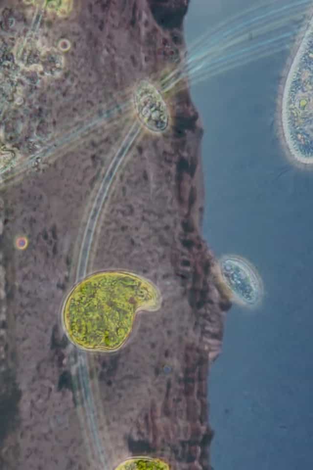 1330292