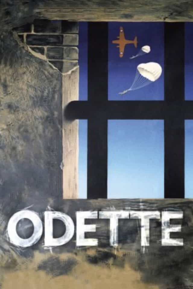 80636