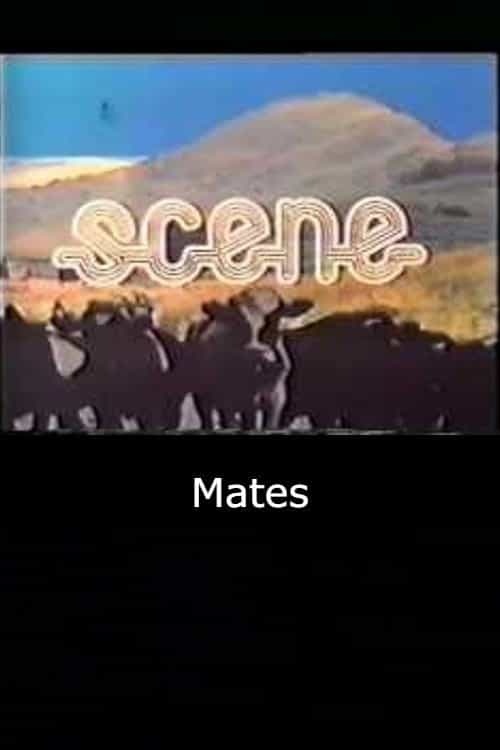 1352791