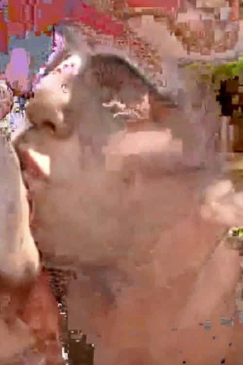778815
