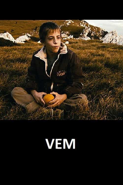 344393