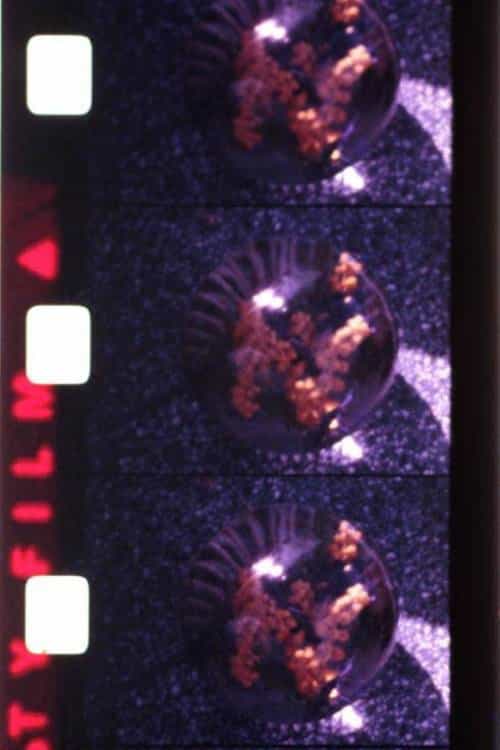 500800