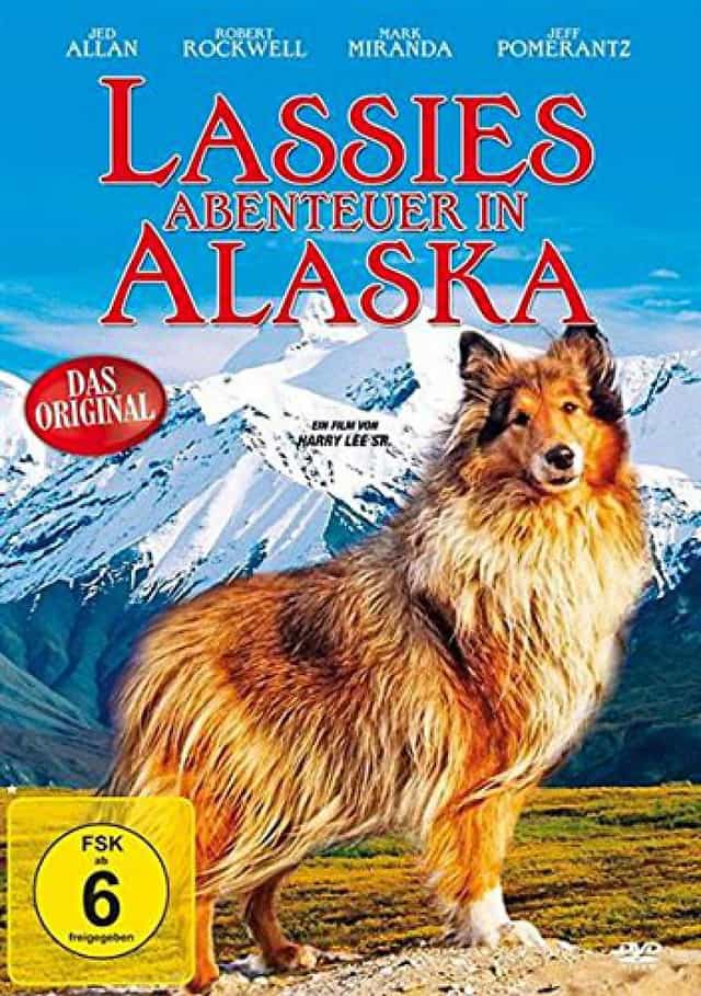202037