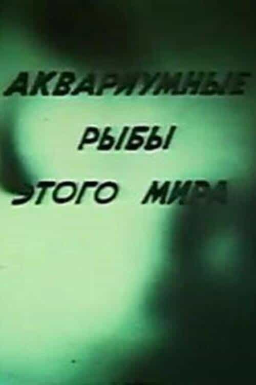 806816