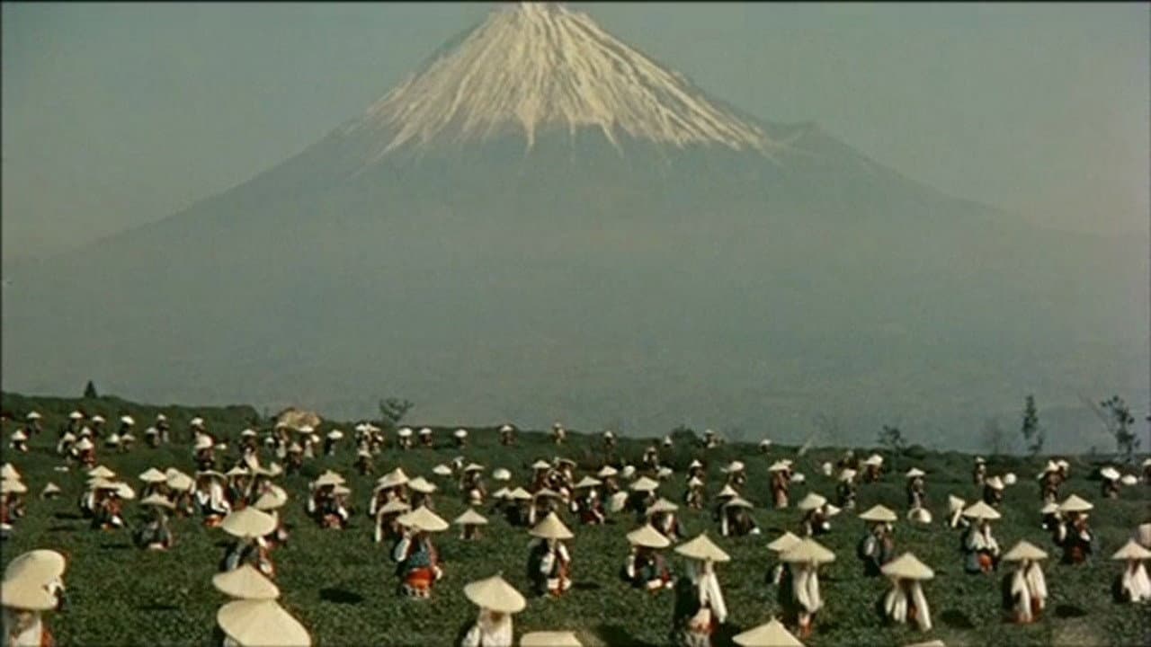ひばりの森の石松