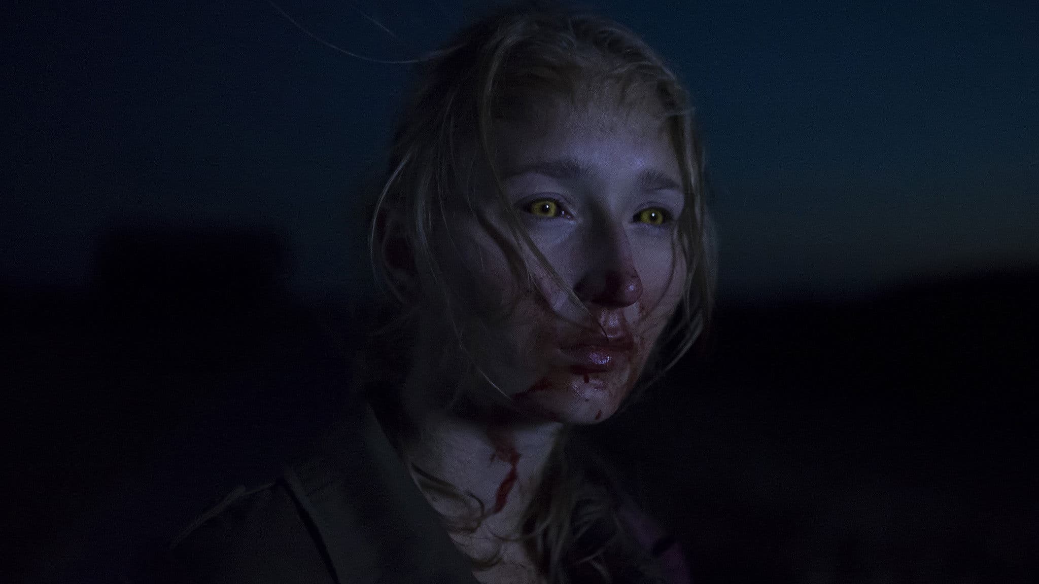 Når dyrene drømmer