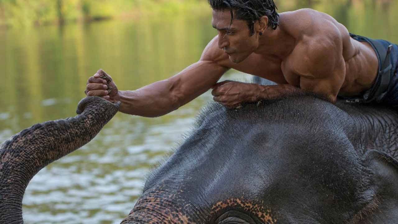 जंगली