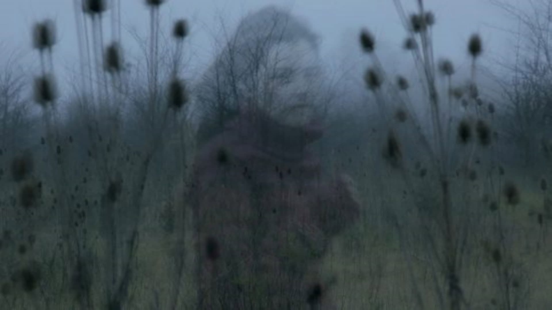 Los fantasmas