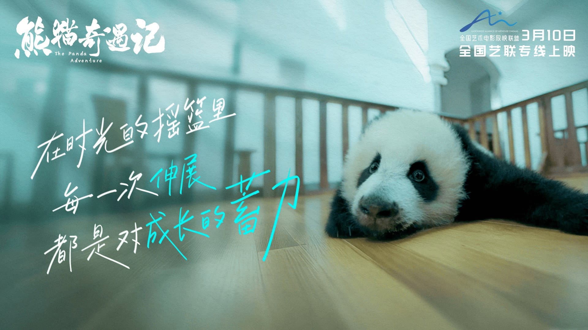 熊猫奇遇记