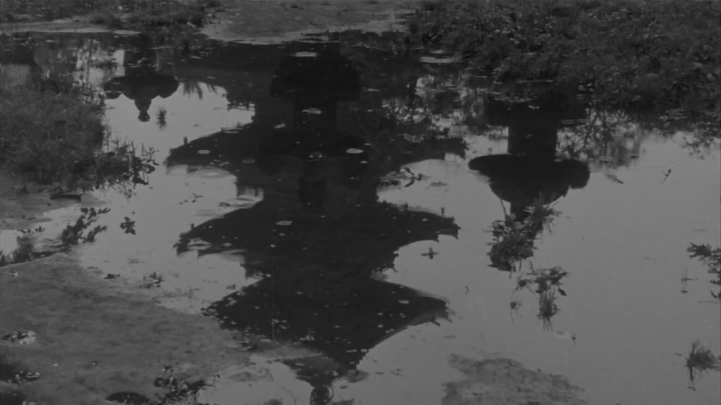 雁