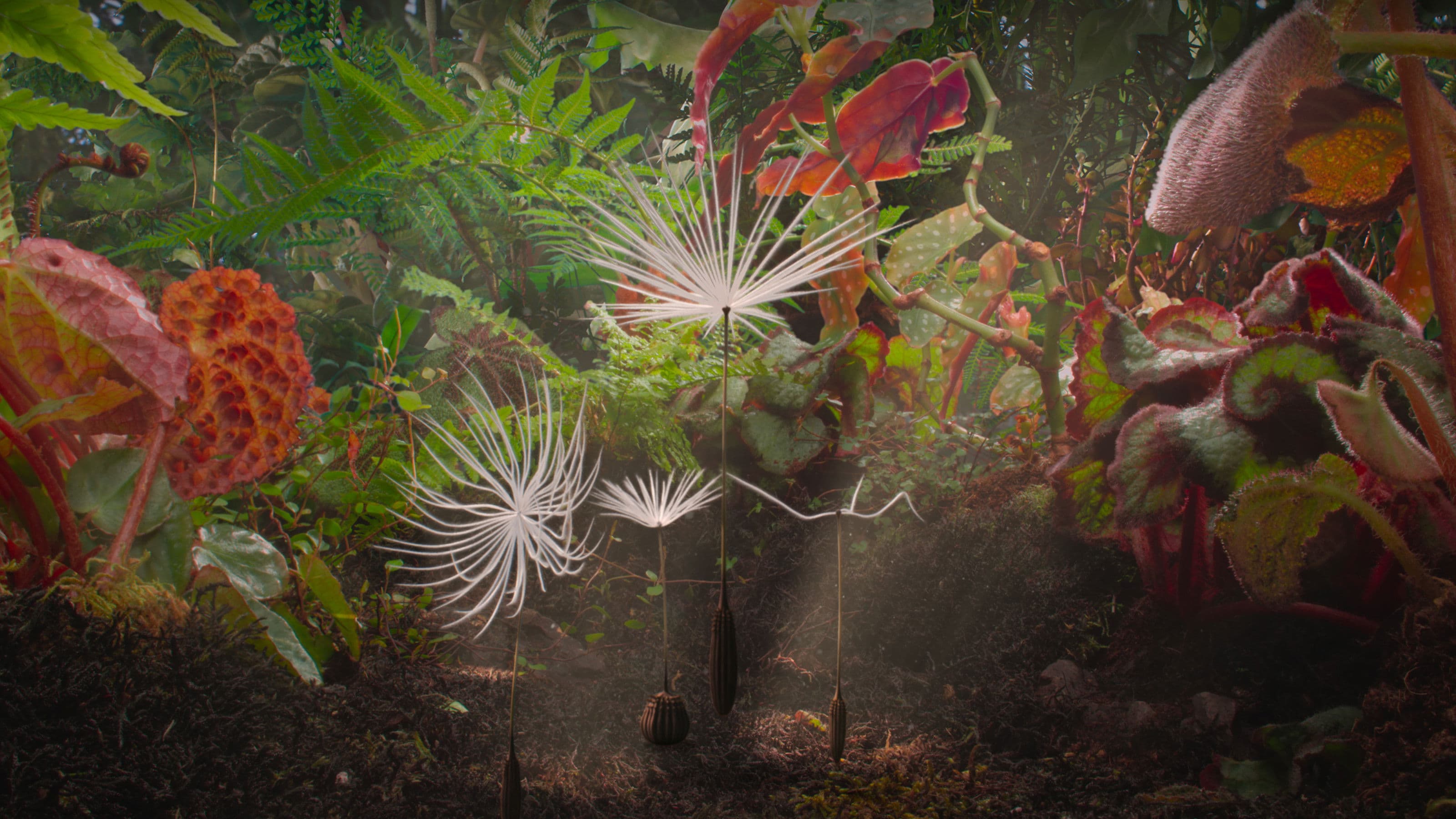 Planètes