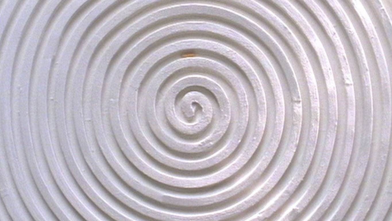 十七個の空間と 一匹のウジ虫で 構成された作品