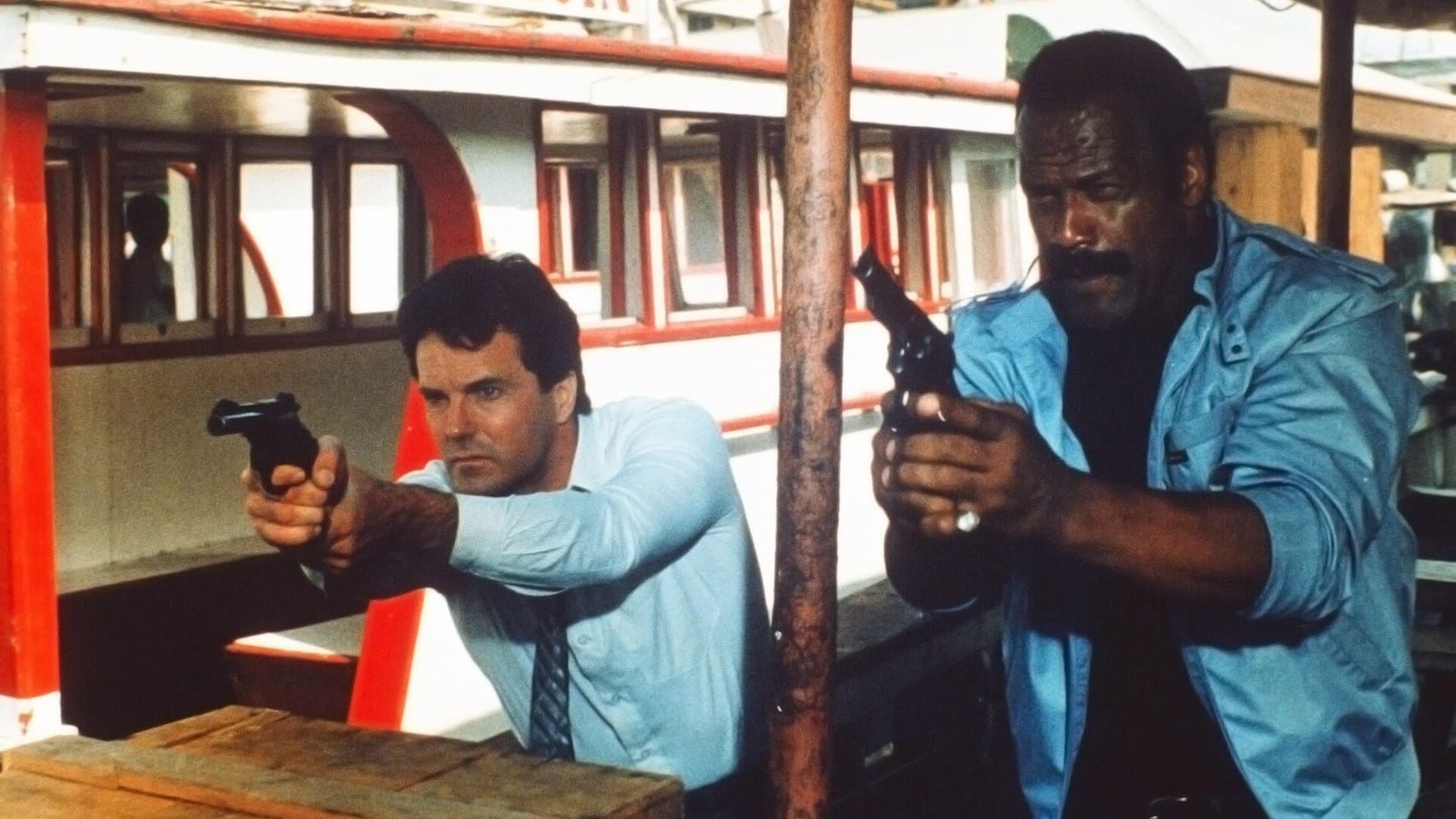 The Black Cobra 2