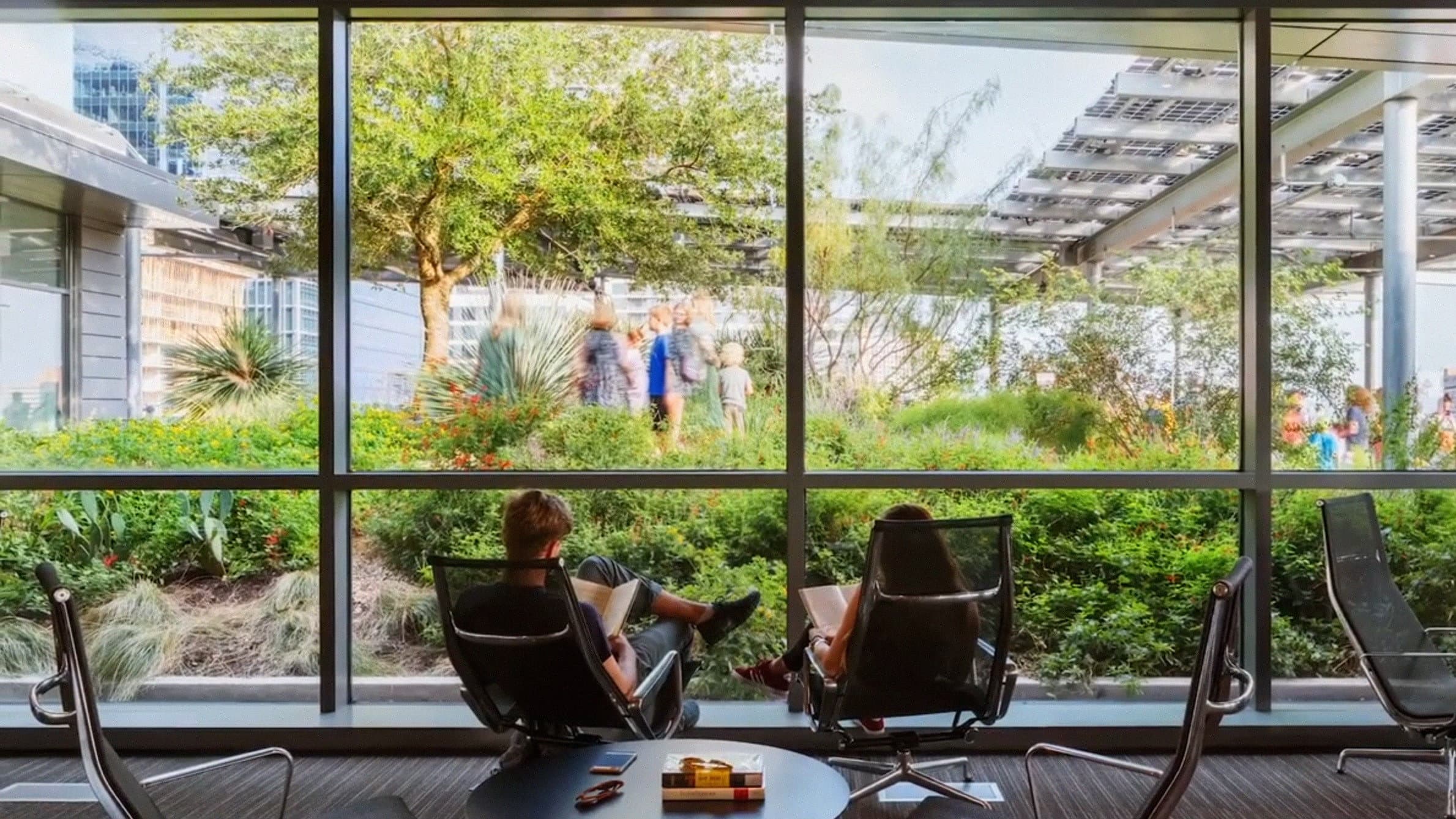 A Building Shaped by Light: Austin Central Library
