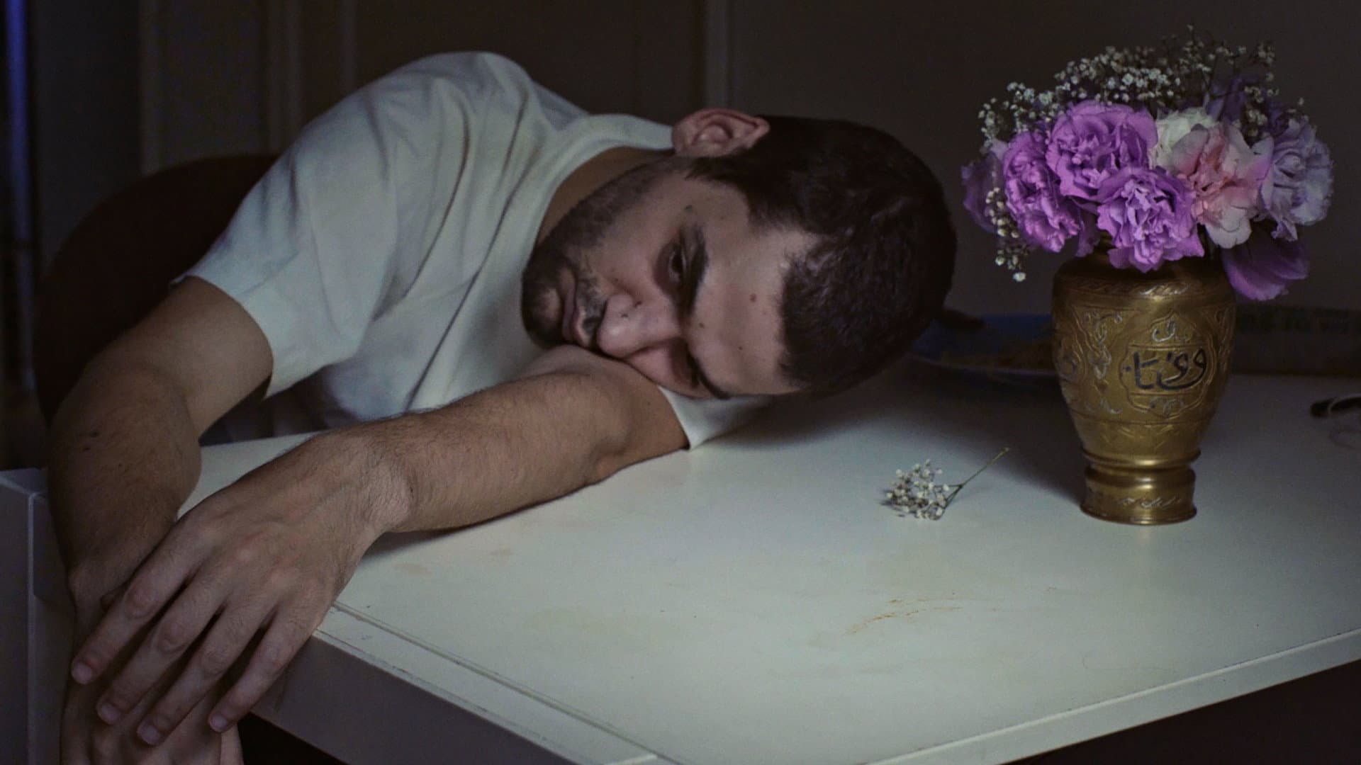 A Vida São Dois Dias