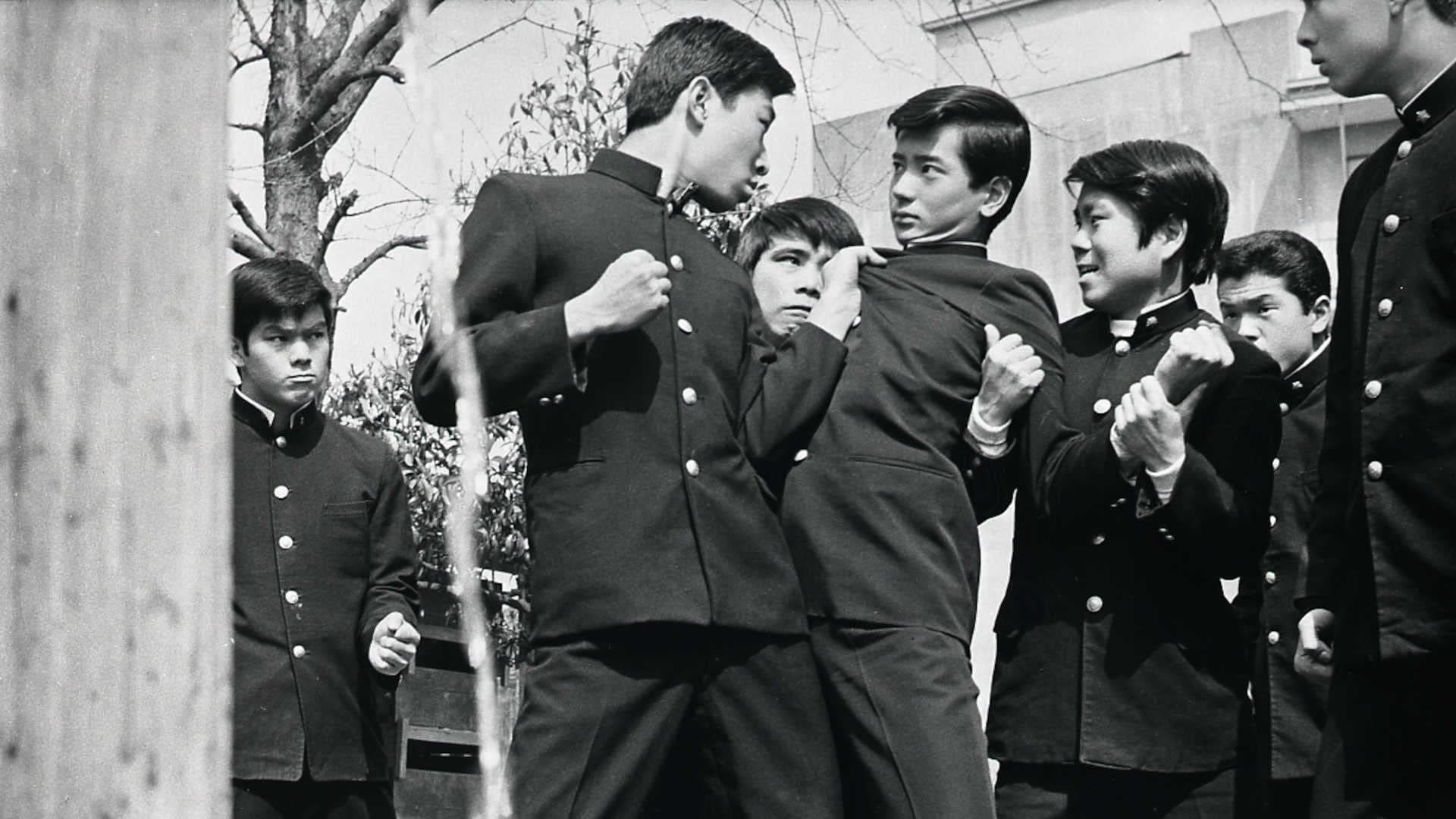 青春前期　青い果実