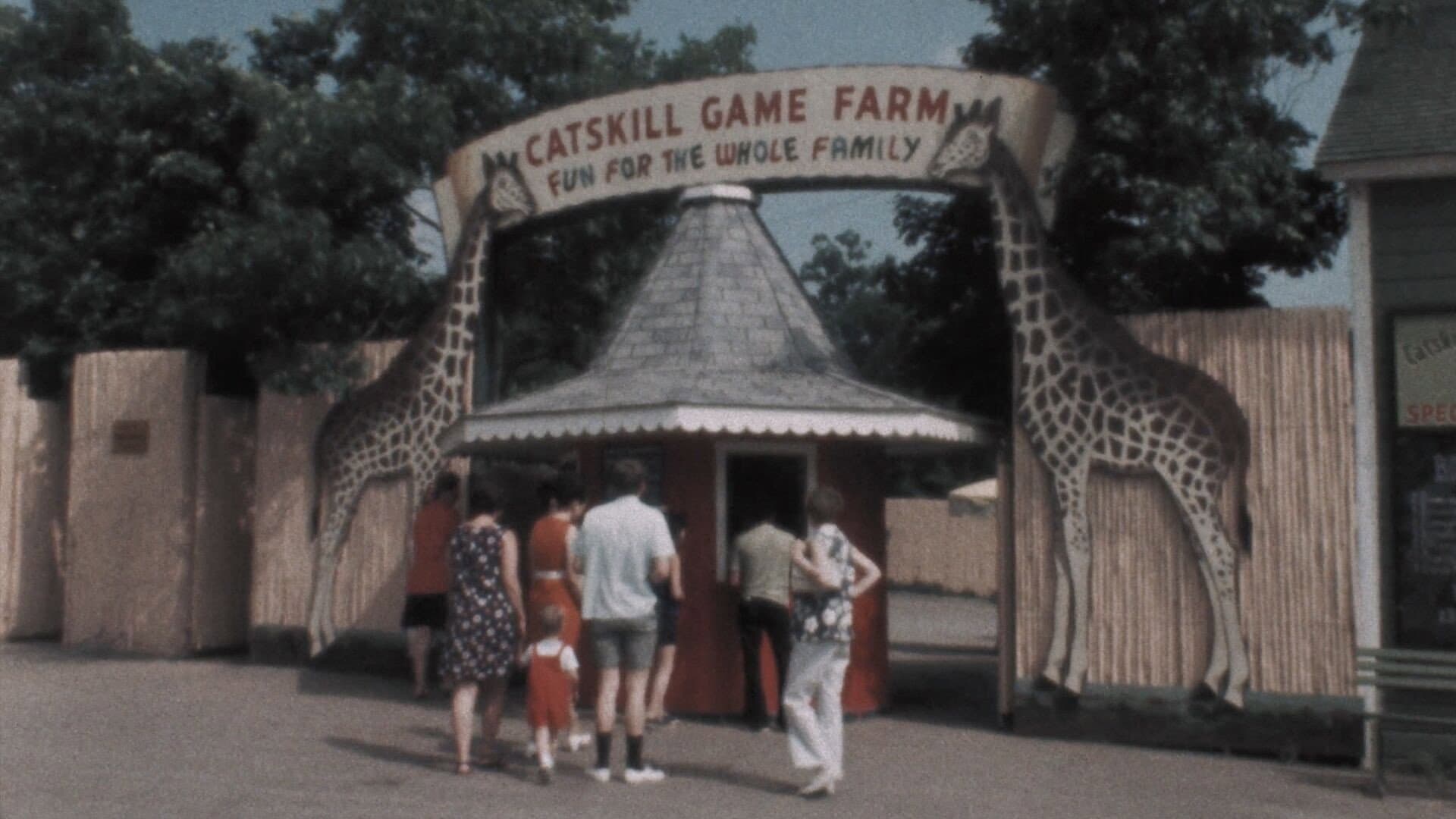 American Zoo