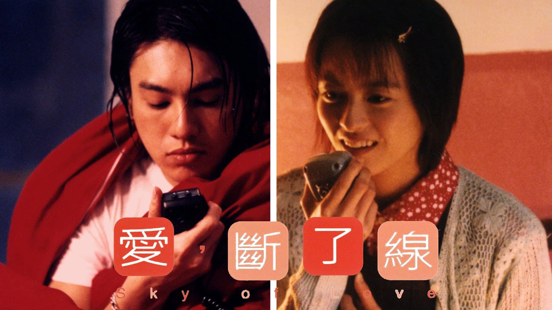 愛，斷了線