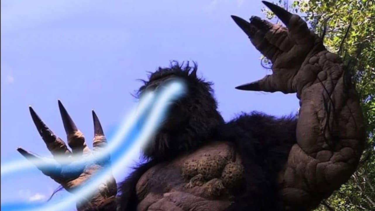 Zillafoot