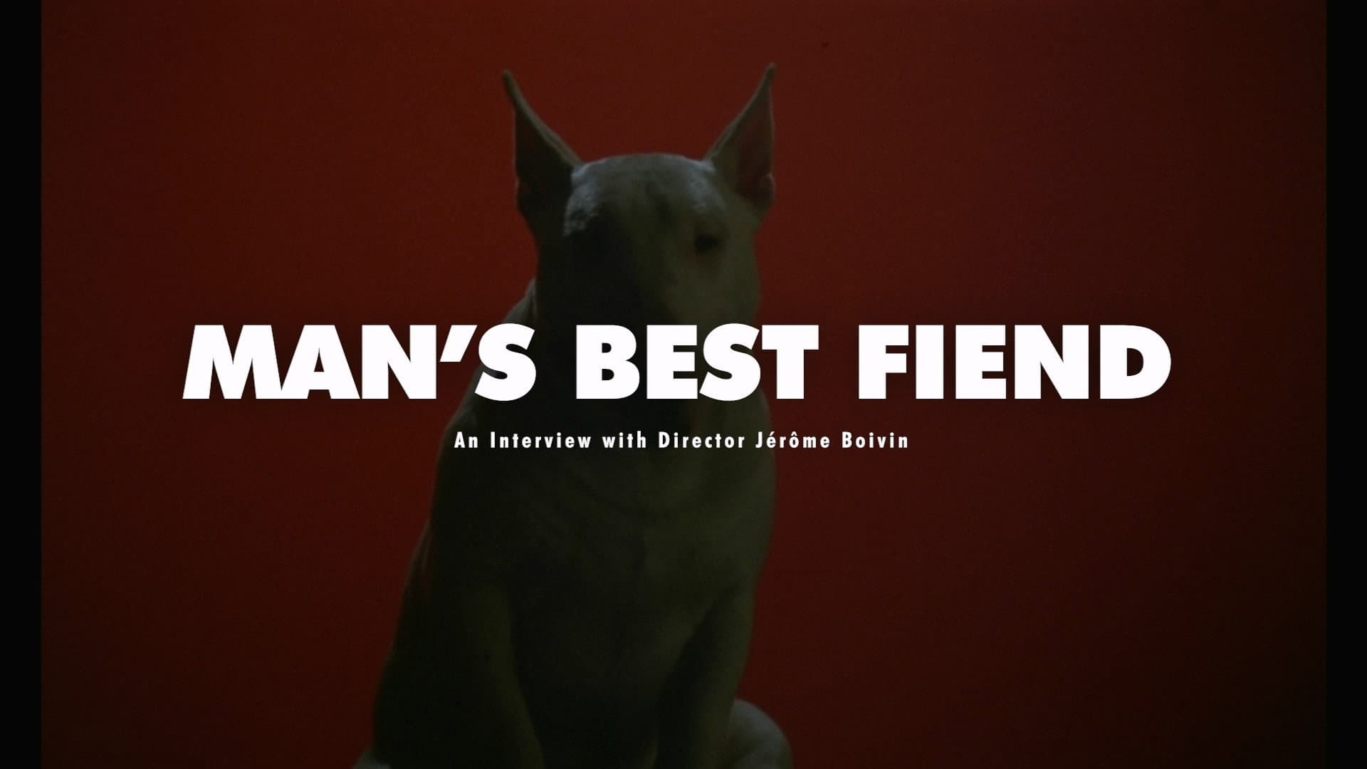 MAN'S BEST FIEND