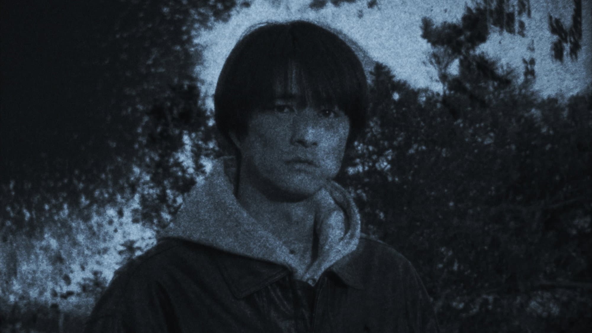 幽明の虫