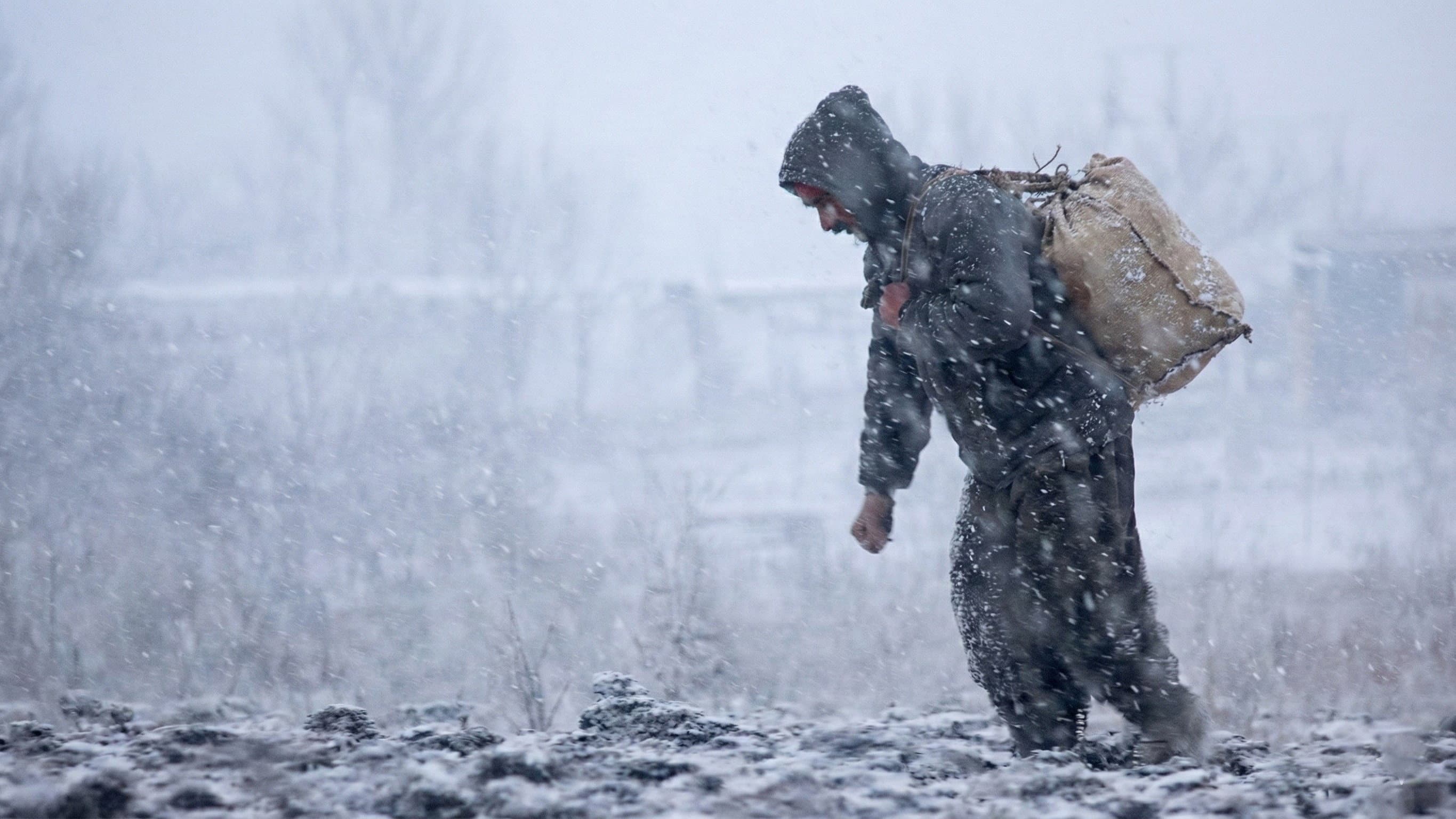 نەوت: شێرپەنجەی شارەکەمان