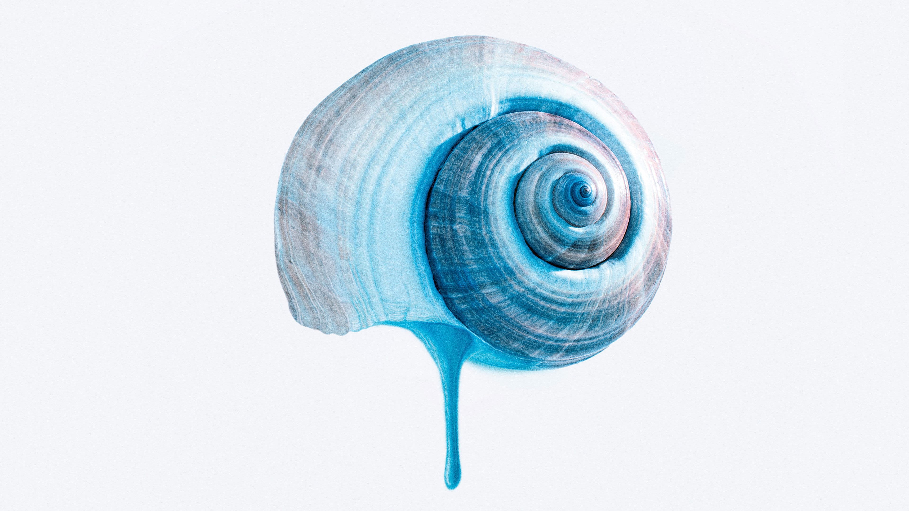 O Último Azul